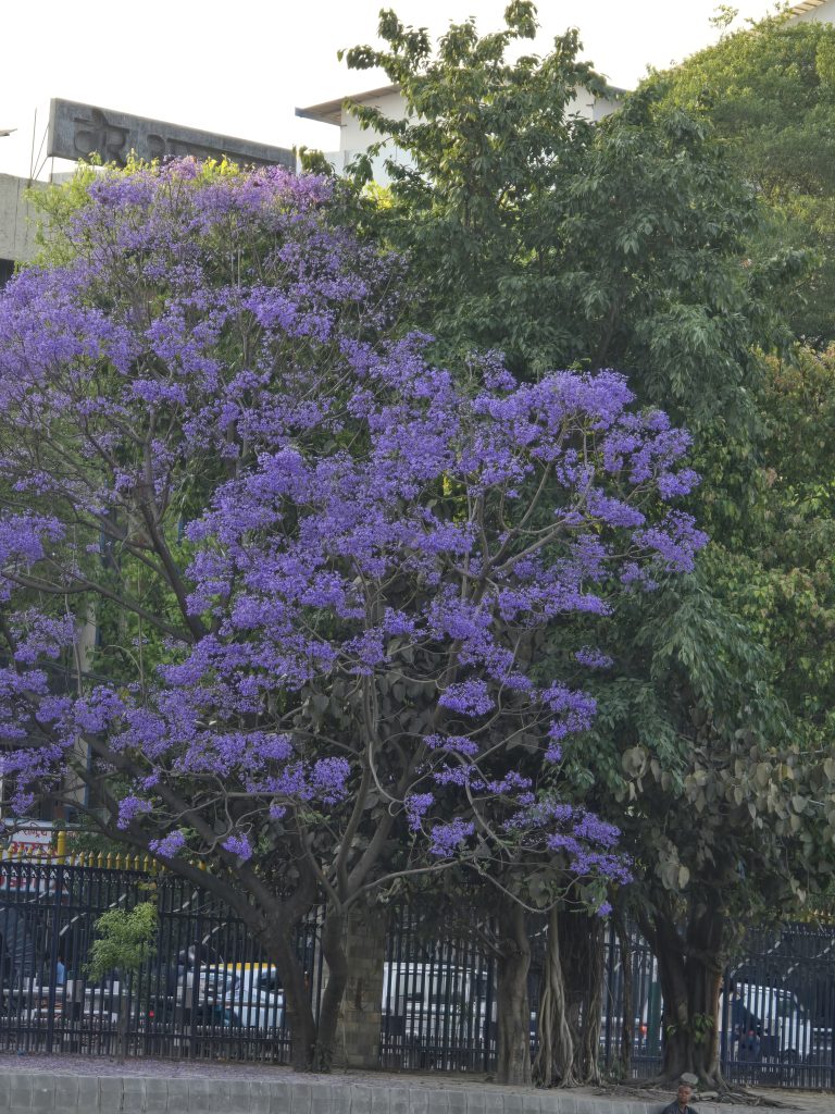 20250501 174401 768x1024