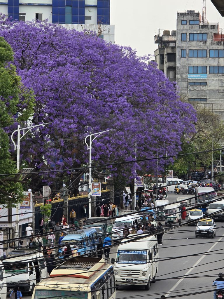 20250502 141002 768x1024